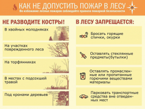 Как не допустить пожар в лесу