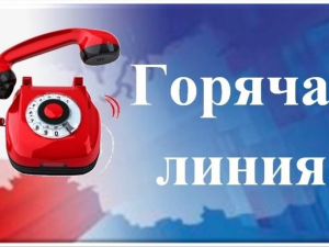 Горячая линия по вопросам трудового законодательства     С целью оперативного и своевременного выявления случаев задержки выплаты заработной платы и неоформленного труда и получения консультаций по вопросам применения трудового законодательства, действуют телефоны "Горячей линии":  8 (800) 707-88-41, 8(800)250-55-03 Государственная инспекция труда в Краснодарском крае. 8(86160)3-21-43 Прокуратура Гулькевичского района. 8(86160)5-18-72, 8(918)3429943  Не оставайтесь  равнодушными к нарушению своих трудовых п